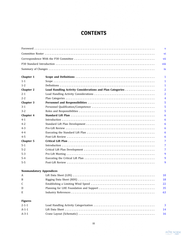 ASME P30.1 PDF